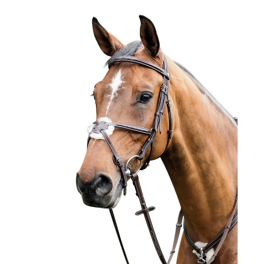 Horse and Balance Prestige Mexican Bridle