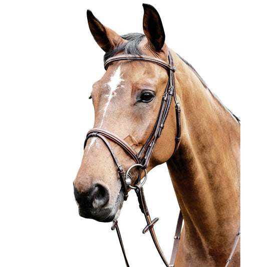 Horse and Balance Prestige British bridle