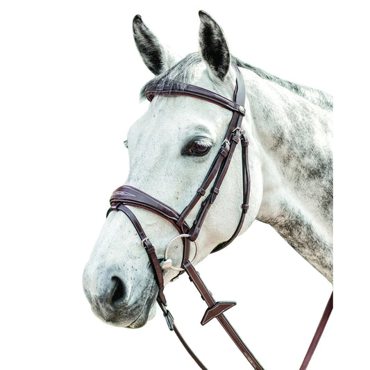 Horse and Balance Prestige English bridle