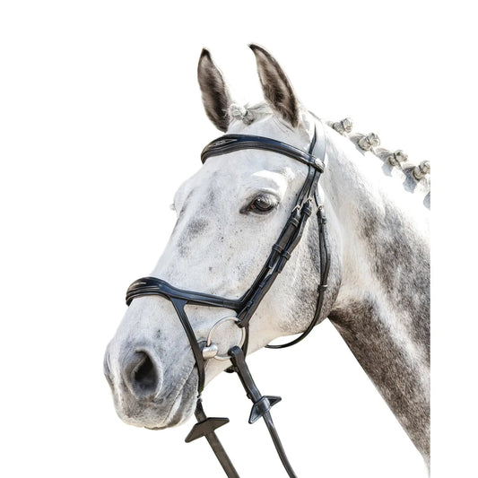 Horse and Balance Prestige bridle