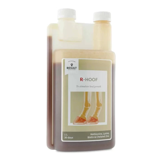 Horse and Balance Result Equine hoof support