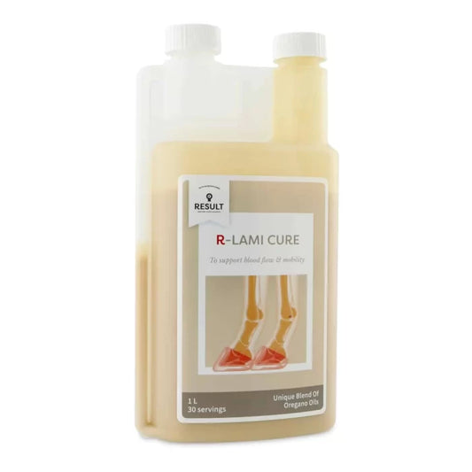 Horse and Balance Result Equine Lami cure hoof support