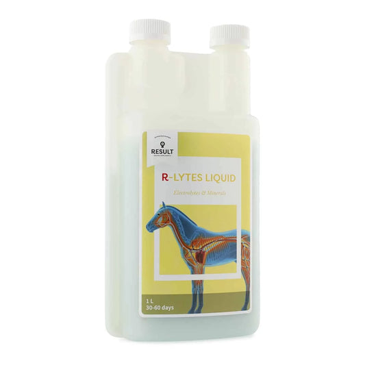 Horse and Balance Result Equine Lytes Liquids