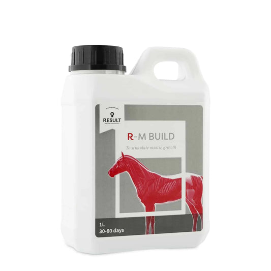 Horse and Balance Result Equine Muscle supplement