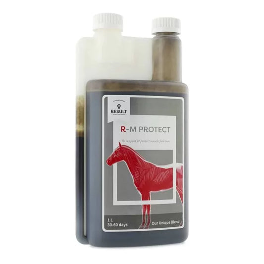 Horse and Balance Result Equine Muscle supplement