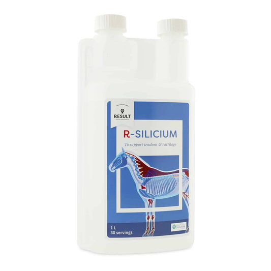 Horse and Balance Result Equine Silicium mobility supplement